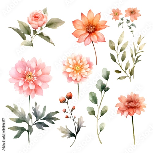 Watercolor garden flower illustration set isolated on white background. Botanic, floral element collection for greeting card, invitations, wedding, birthday designs © arte ador