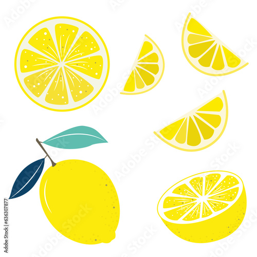 Lemons vector set illustration, citrus fruit vector set, Citrus fruit slices