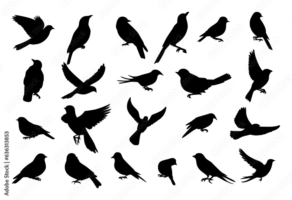 set of bird silhouettes on isolated background set of bird silhouettes on isolated background