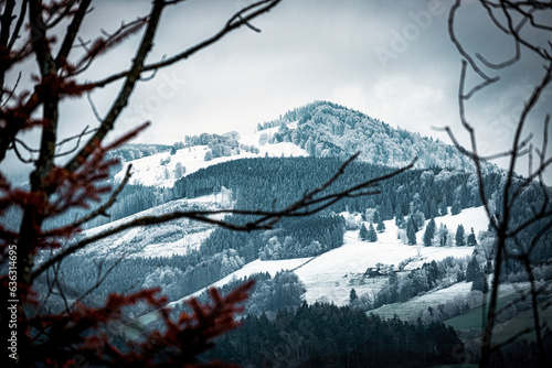 Snow covered mountain peak in black forest