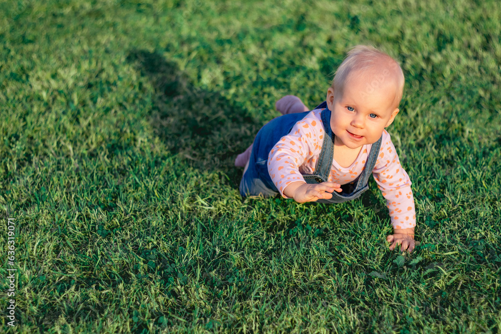 nine month baby crawl on all fours on green grass and smile, kid connect with the nature, banner copy space nine month baby crawl on all fours on green grass and smile, kid connect with the nature, banner copy space