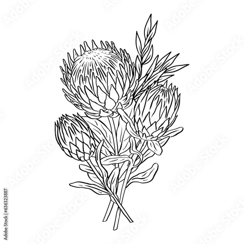 Monochrome tropical protea flowers and leaves bouquet. Boho floral composition