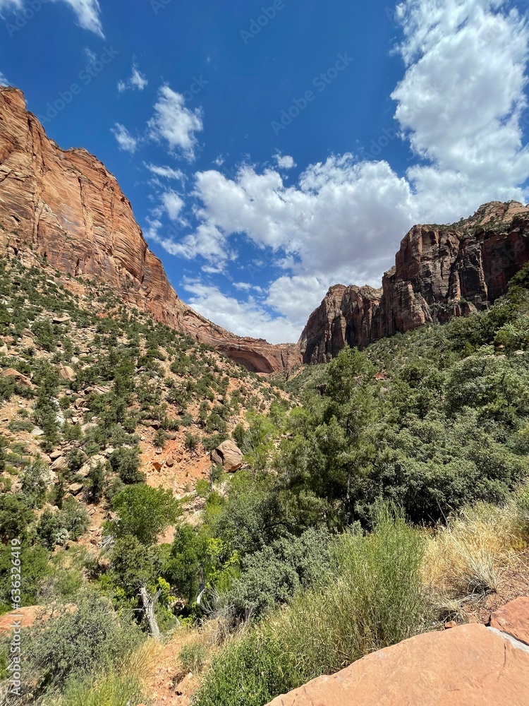 canyon in the mountains