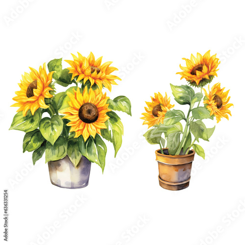 Wallpaper Mural Sunflower Watercolor isolated on PNG background Torontodigital.ca