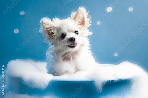 Funny puppy sitting in bathtub waiting for grooming. Banner for pet shop, grooming salon. Generative AI © zamuruev
