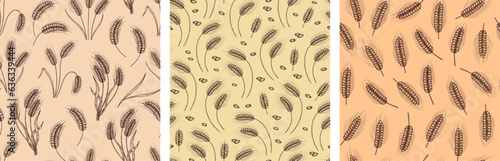Hand drawn wheat seamless pattern. Wheat ear and grain motifs for nature inspired floral textiles and packaging designs vector set
