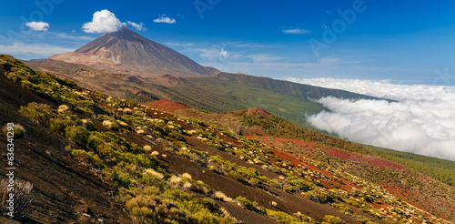Volcano Teide and Orotava Valley - view from Mirador La Crucita (Tenerife, Canary Islands)  photo