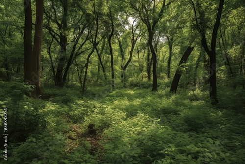 A dense forest with lush vegetation and tightly packed trees. Generative AI