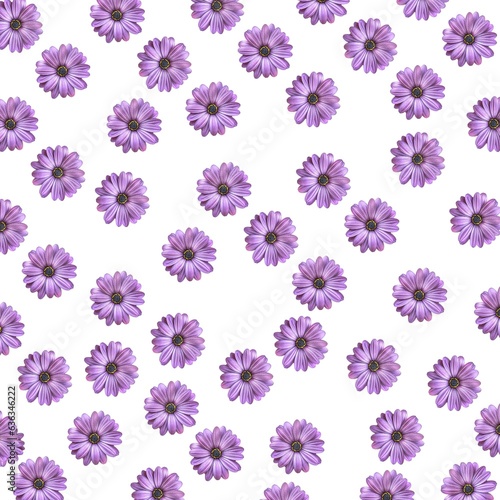 picture with a white backdrop and purple flowers