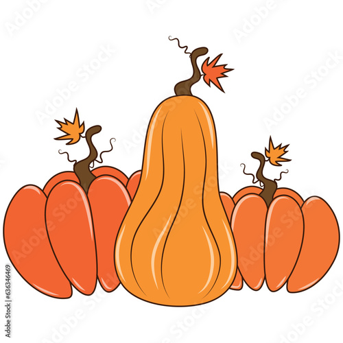 Cute illustration with different shaped pumpkins
