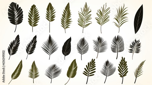 vintage palm leaves, nature botanical decorative collection. Vector illustration isolated collection tropical leaf set