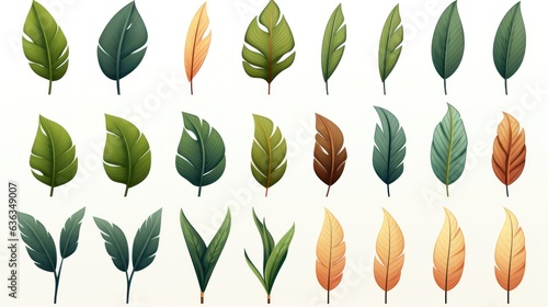 vintage palm leaves, nature botanical decorative collection. Vector illustration isolated collection tropical leaf set