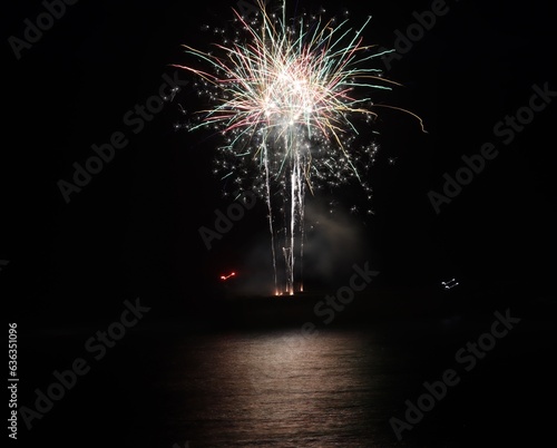 fireworks in the night sky