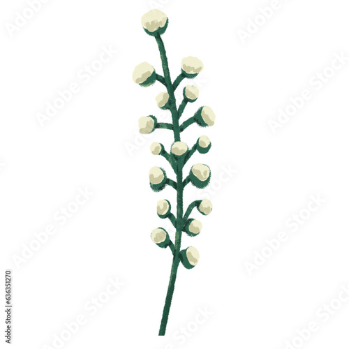 White flowers illustration