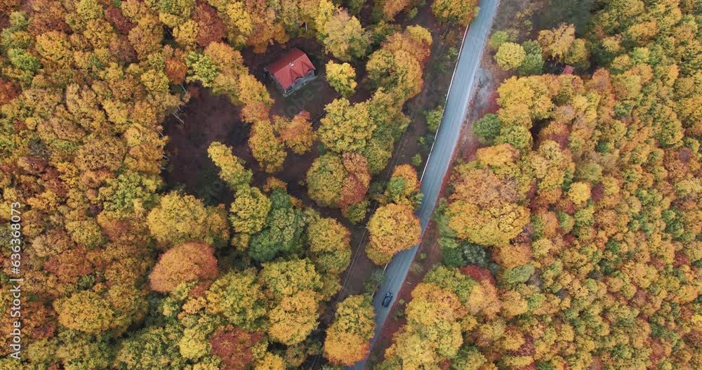 Black luxury electric modern car drive on rural road in colorful autumn forest. Cinematic drone shot flying over gravel road in pine tree forest Black luxury electric modern car drive on rural road in colorful autumn forest. Cinematic drone shot flying over gravel road in pine tree forest