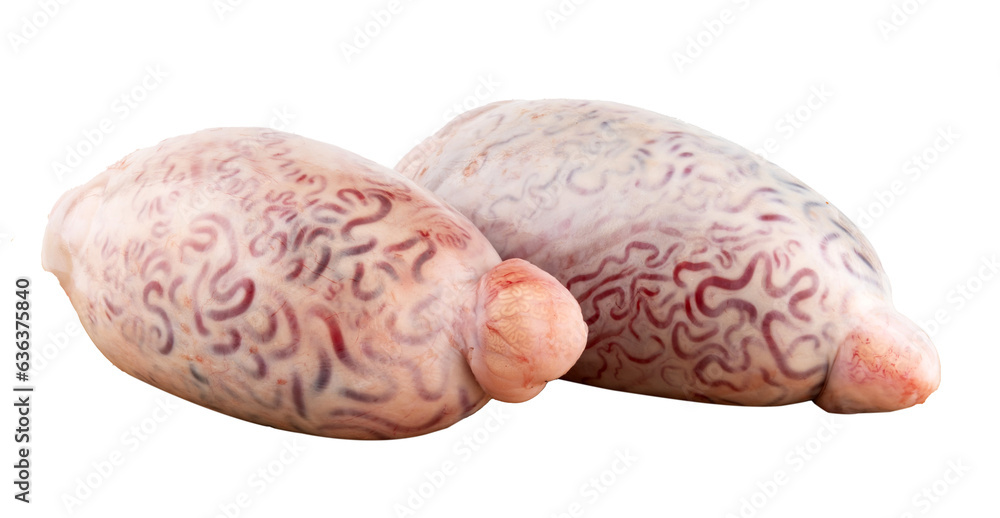 Obraz premium raw ram's testicle