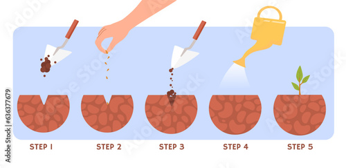 Plant growth process concept. Showel, seeds and watering can. Botany and agriculture, horticulture and gardening. Infographgics and materials. Cartoon flat vector illustration