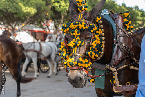 Equestrian artistry on display, horses perform dressage in the vibrant setting of Malaga Fair, a gem of Spanish tradition and festivity