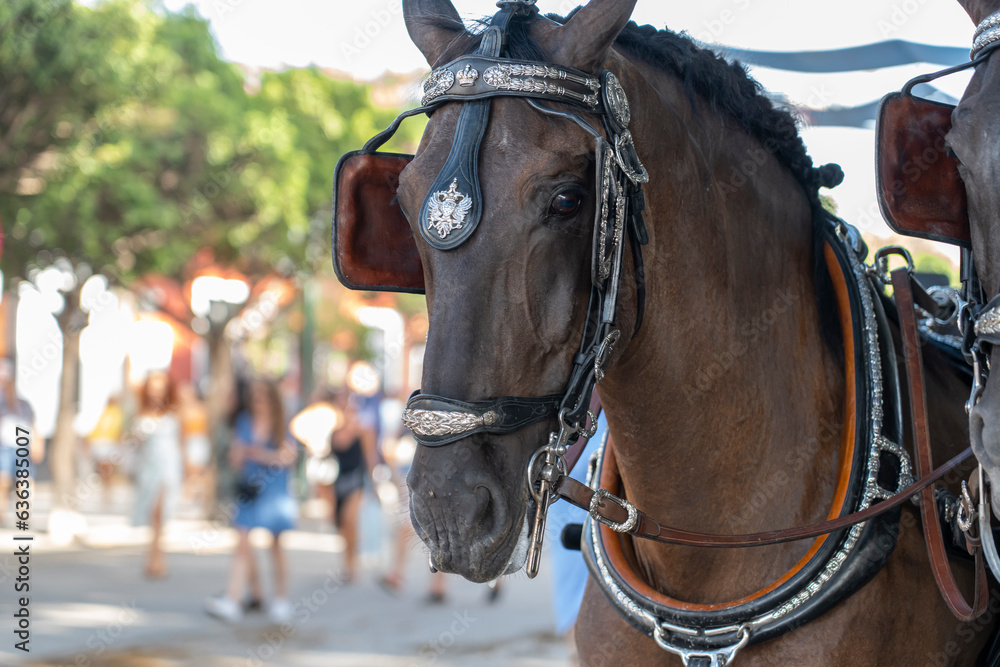 Obraz premium From horse-drawn carriages to flamenco dancers, the Malaga Fair offers a vibrant display of Spanish heritage. A top destination for those seeking tradition, music, and celebration.