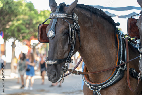The streets of Malaga come alive as horses take center stage. A fusion of tradition, dance, and music sets the city aglow, marking an annual cultural extravaganza