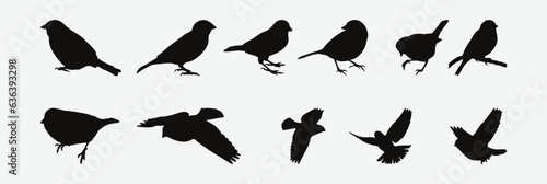 Graceful Flight, A Captivating Collection of Silhouette Sparrow Set for Your Creative Needs