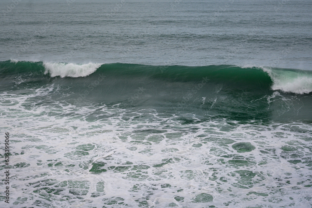 Fototapeta premium waves on the beach