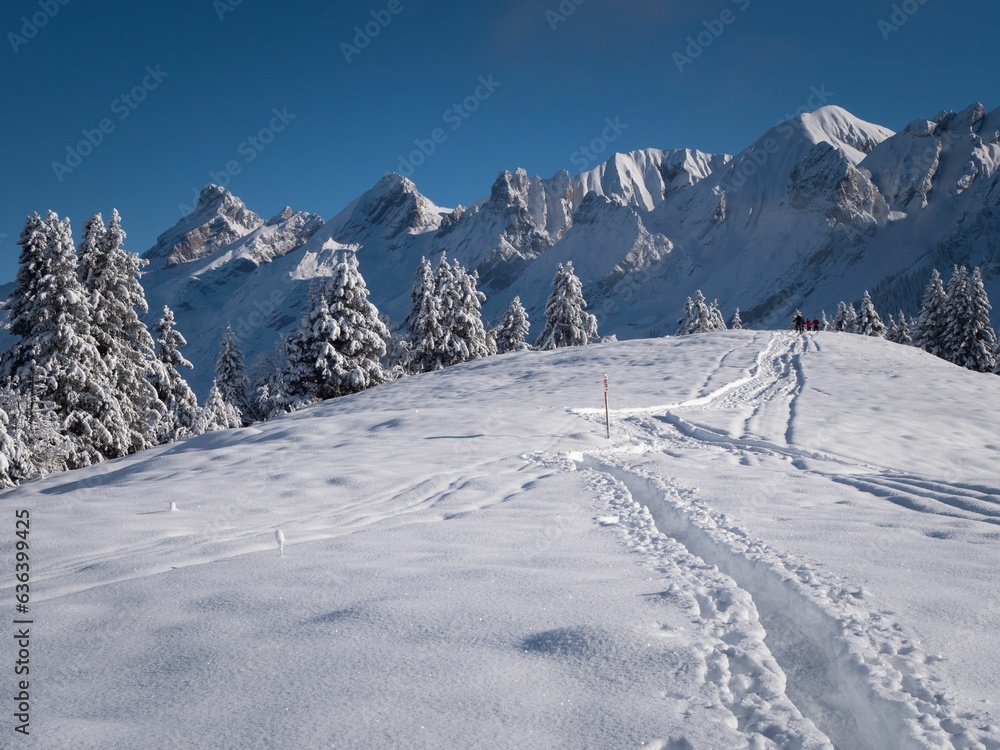 a beautiful snowy landscape in the Alps in France with ski trails