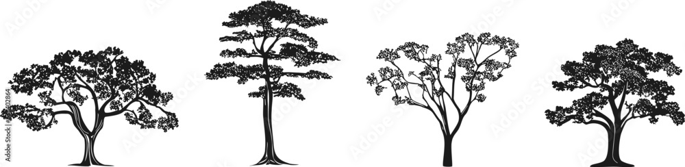 Obraz premium Tree silhouette. Four trees in different positions. Botanical plant silhouettes. Forest set in flat style. Vector illustration.