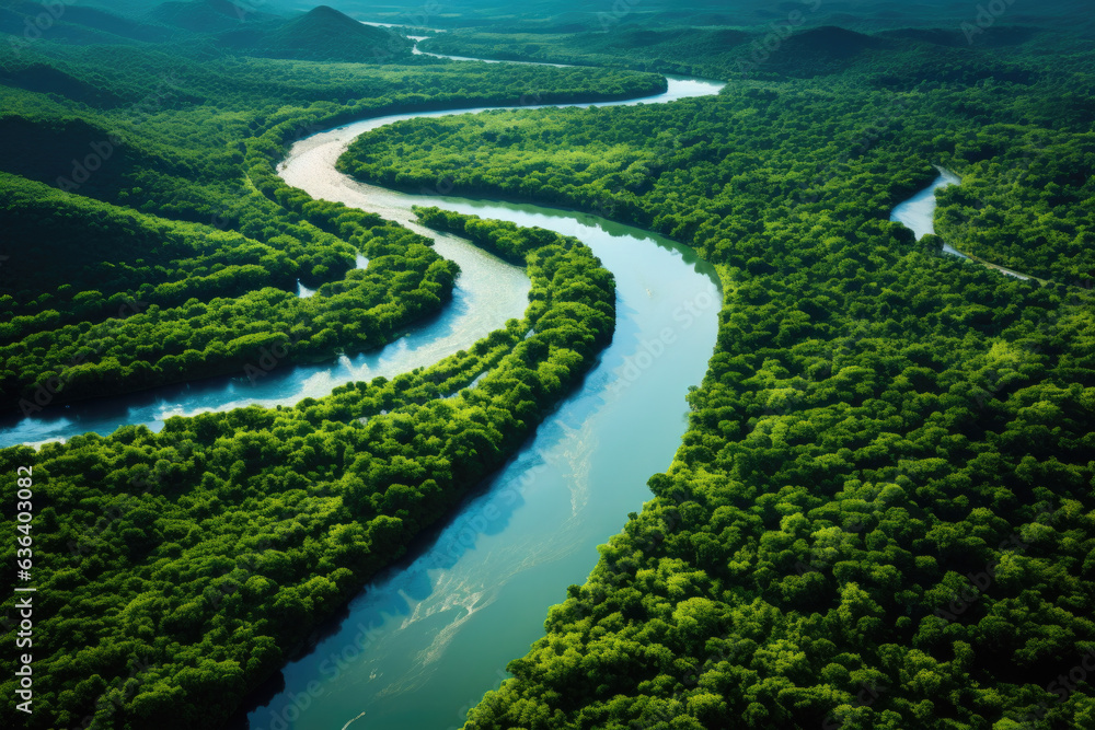 Aerial view of river in tropical green forest with mountains in background