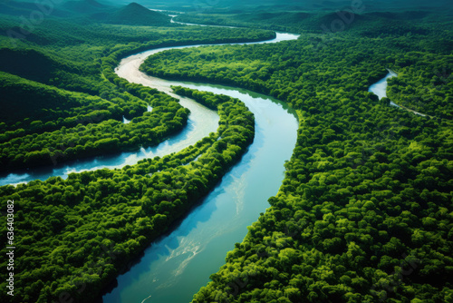 Aerial view of river in tropical green forest with mountains in background