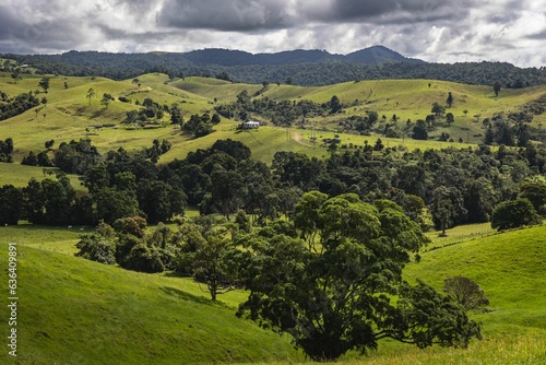 Landscape View of Atherton Table Lands photo