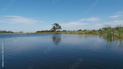 A large body of water surrounded by lush green grass: Okavango Delta, Botswana, Africa