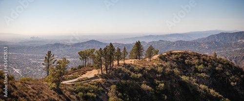 The Angeles National Forest in Los Angeles  California  showcasing the lush greenery of the area