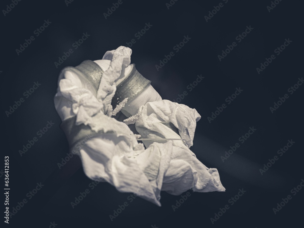 Obraz premium Closeup of a white lily flower on a dark background