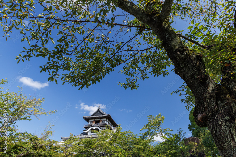 夏の犬山城天守閣_犬山城内庭園