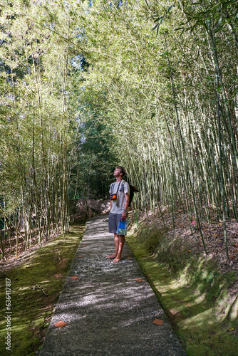 Passage au milieu des bambous 