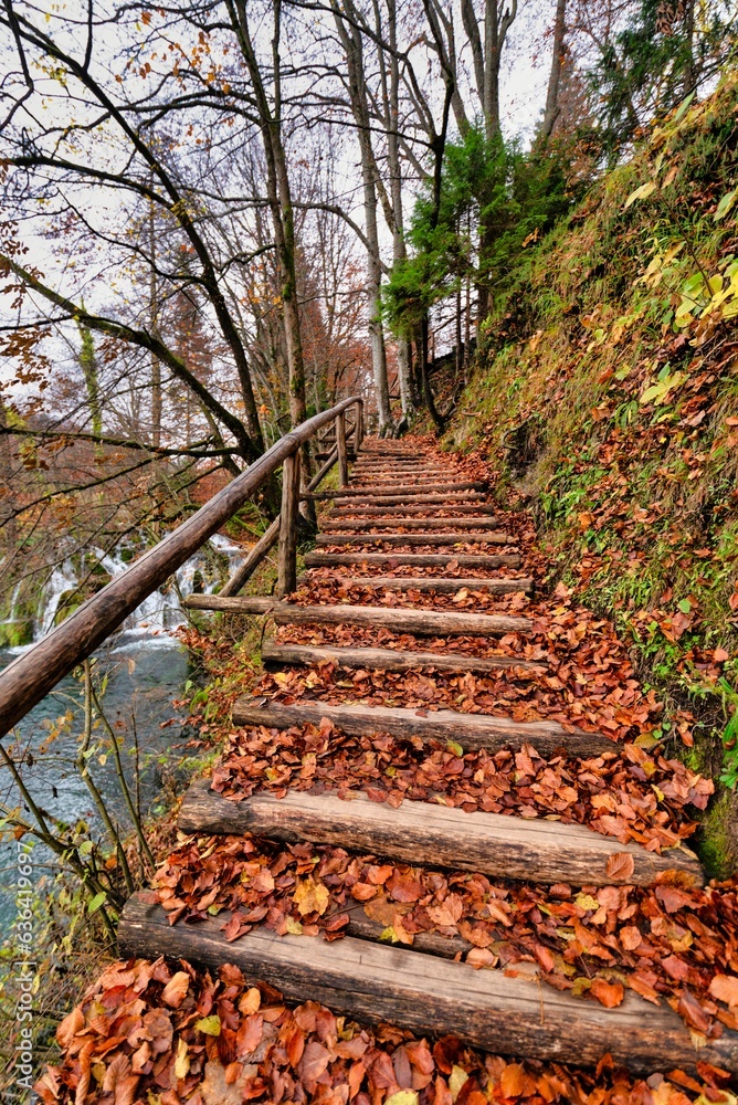 Fototapeta premium Plitvich National Park in Autumn, Croatia