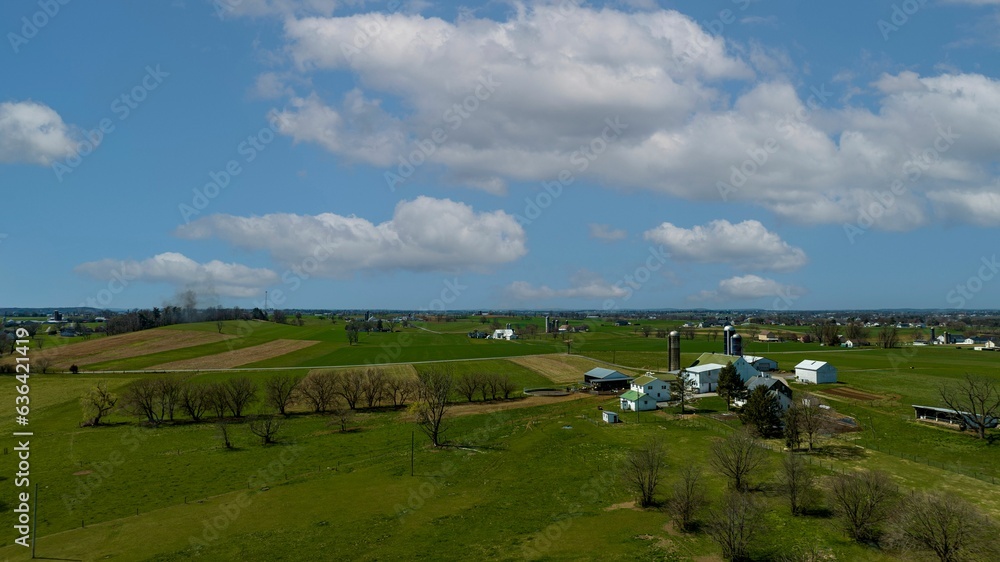 Naklejka premium Lush green field on a sunny day