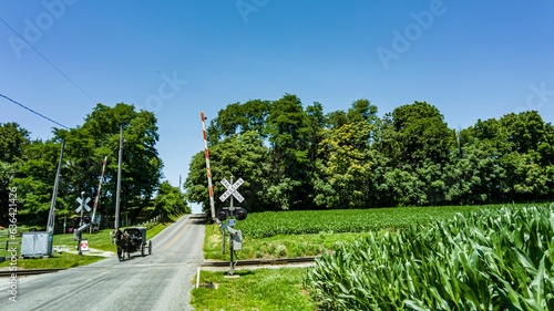 Wallpaper Mural a large dirt road with a railroad crossing sign in the middle Torontodigital.ca