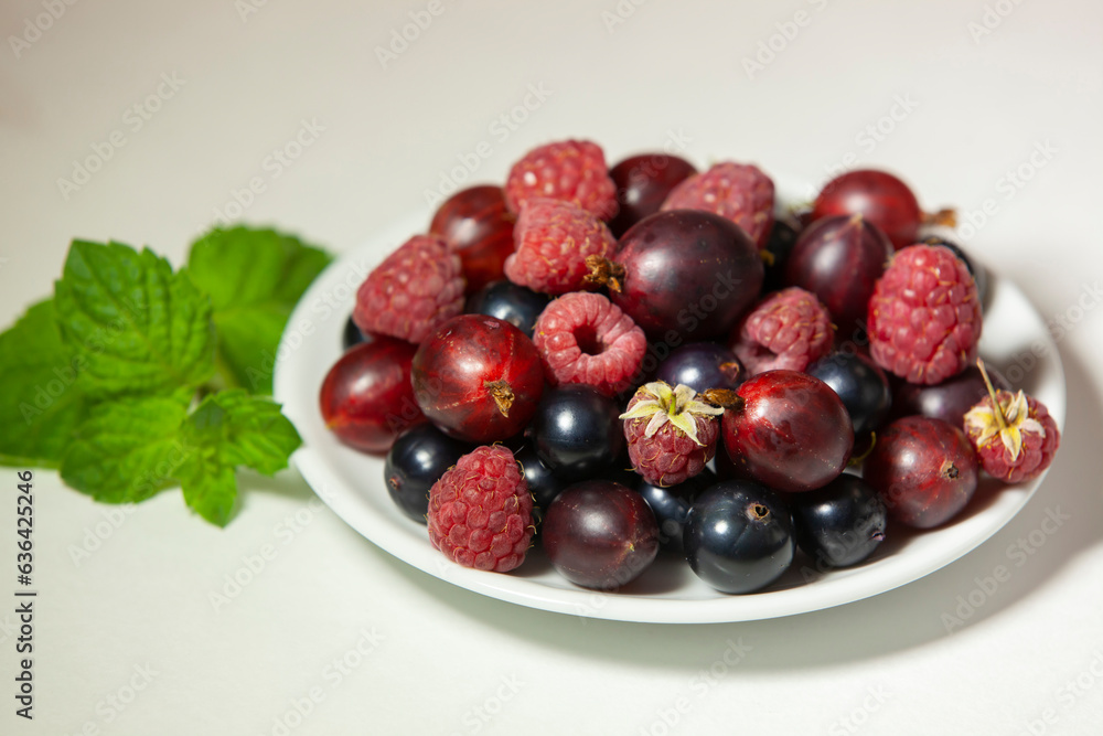 Raspberry, black currant and gooseberry. Assorted berries and sprig of mint. Ingredients for baking or soft drink.