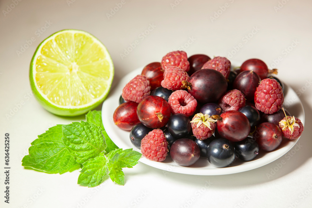 Lime, mint and berry mix. Ingredients for a refreshing summer drink. Ecological food and drink concept.