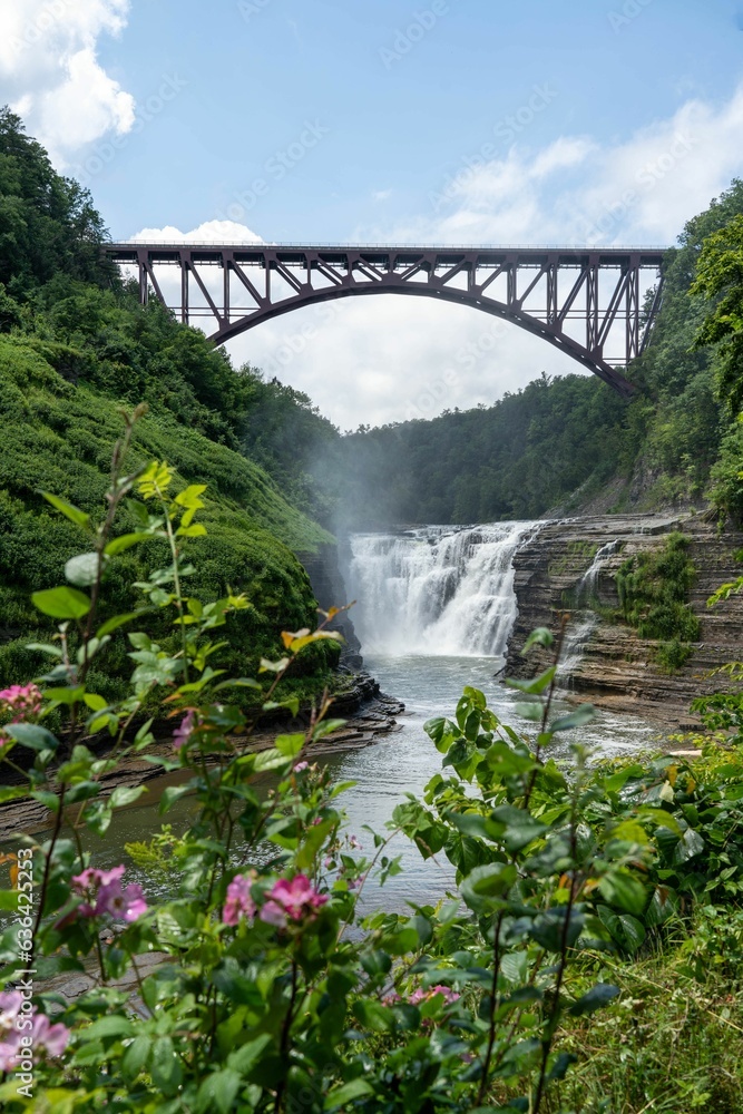 Scenic view of a bridge crossing a waterfall with a lush green forest in Letchworth State Park