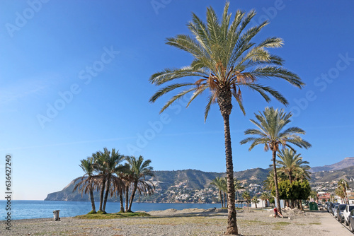  La Herradura beach in Andalucia, Spain © Jenny Thompson