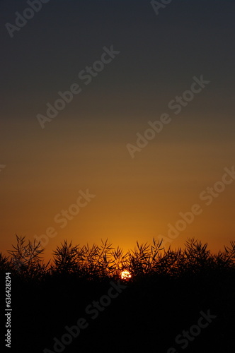 Wschód słońca w Bronowicach