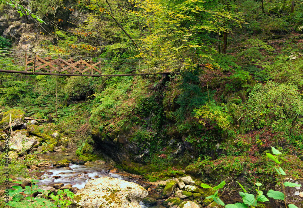 Astonishin nature composition with bridge above the stream with clear turquoise water. Tolmin Gorge (Tolminska Korita) in Triglav National Park. Tolmin canyon, Soca Valley, Slovenia Astonishin nature composition with bridge above the stream with clear turquoise water. Tolmin Gorge (Tolminska Korita) in Triglav National Park. Tolmin canyon, Soca Valley, Slovenia