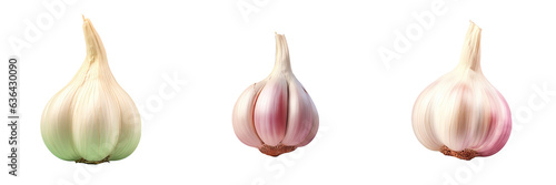 Garlic on transparent background © TheWaterMeloonProjec