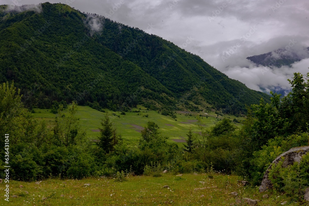 a cloudy day at a lush, mountainous, valley on a hillside