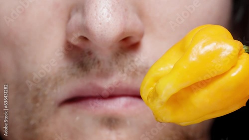 Wallpaper Mural In a close-up shot, a man touches his tongue to a spicy yellow Habanero pepper, and he grimaces from the heat. Torontodigital.ca