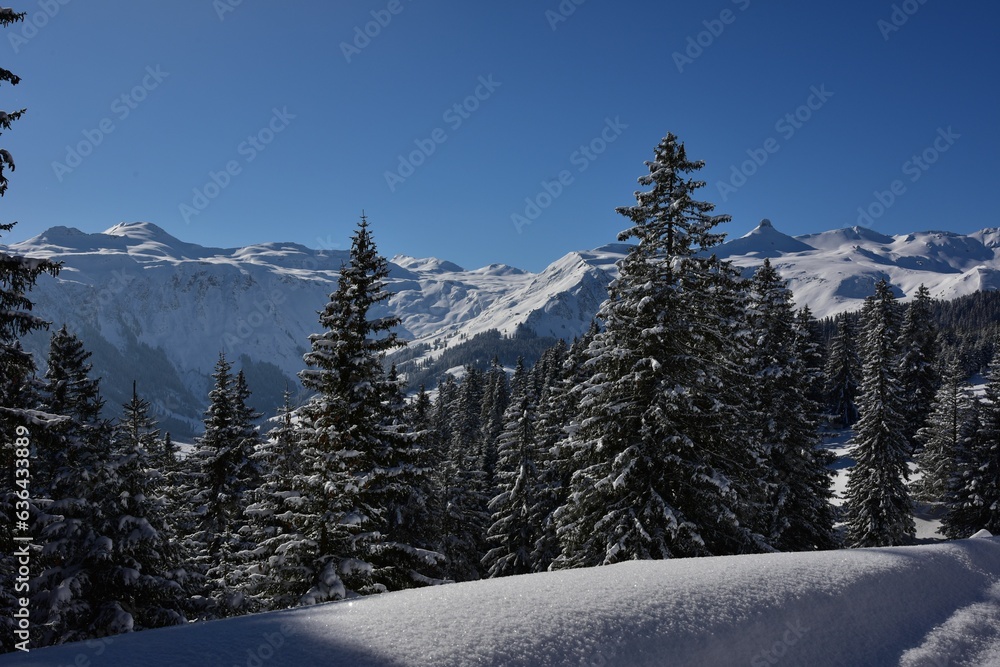 Scenic winter landscape with a mountain range covered in snow in Zurich, Switzerland
