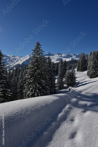 Fototapeta Naklejka Na Ścianę i Meble -  Scenic winter landscape with a mountain range covered in snow in Zurich, Switzerland